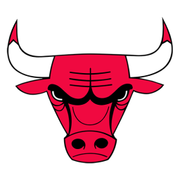 Bulls logo